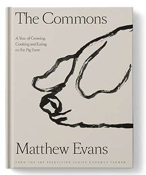 the commons small cover